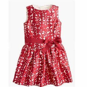 J.Crew Crewcuts Drop Waist Heart Sleeveless Dress